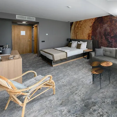 The Five Elements Hotel And Spa-3